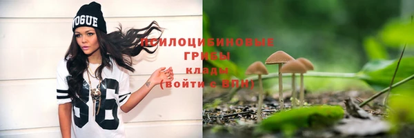скорость Богданович