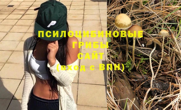 скорость Богданович