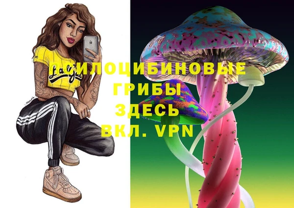 марки lsd Богородицк