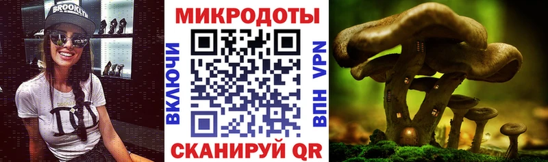 магазин  наркотиков  Белый  Галлюциногенные грибы Psilocybe 